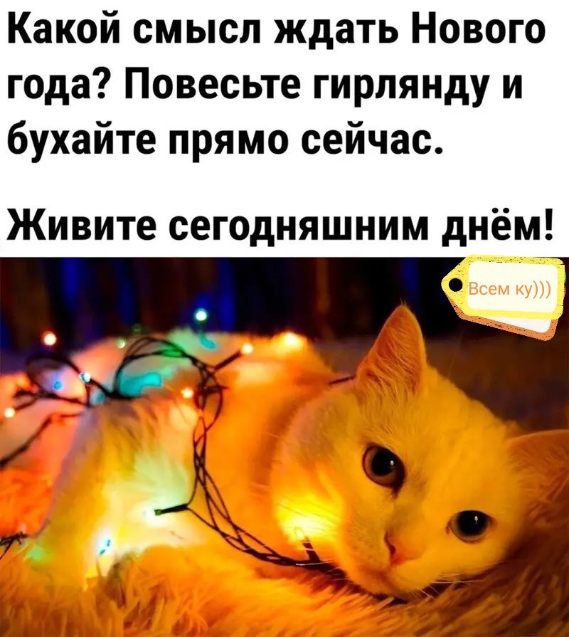 Какой смысл ждать Нового года Повесьте гирляиду и бухайте прямо сейчас Живите сегодняшним днём