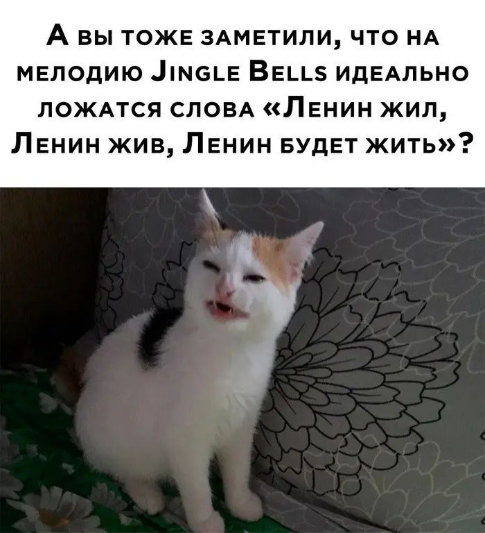 А вы тоже здмнтипи что НА мелодию імеьв ВЕ ИдЕАПЬНО лождтся СЛОВА ЛЕНИН жип Ленин жив Ленин БУДЕТ жить