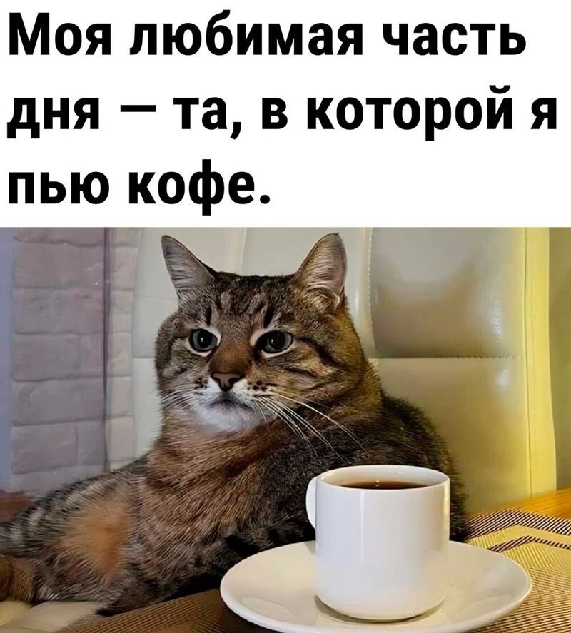 Моя любимая часть дня та в которой я пью кофе