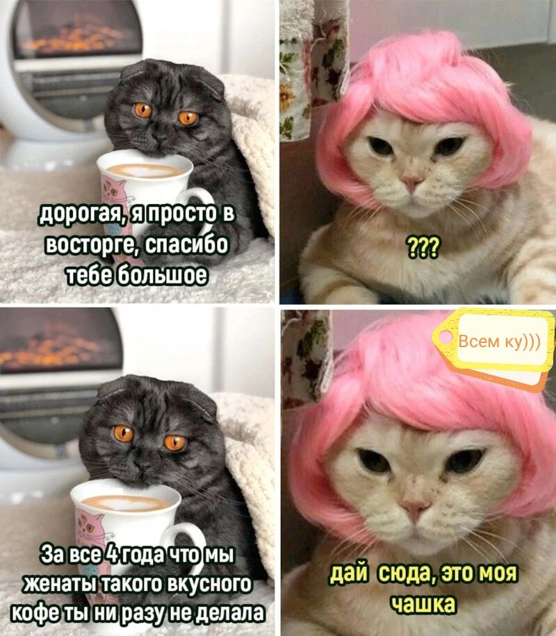 За вещала чт мы женатьрдкого вкусного кафе ты ни разу не делала