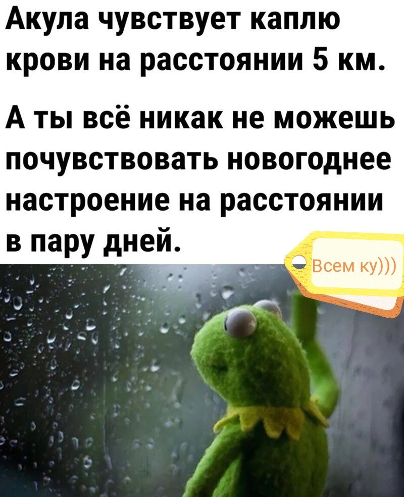 Акула чувствует каплю крови на расстоянии 5 км А ТЫ всё никак не МОЖЕШЬ ПОЧУВСТВОВЗТЬ новогоднее настроение на расстоянии впару дней