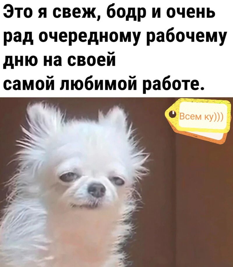 Это я свеж бодр и очень рад очередному рабочему дню на своей самой любимой работе
