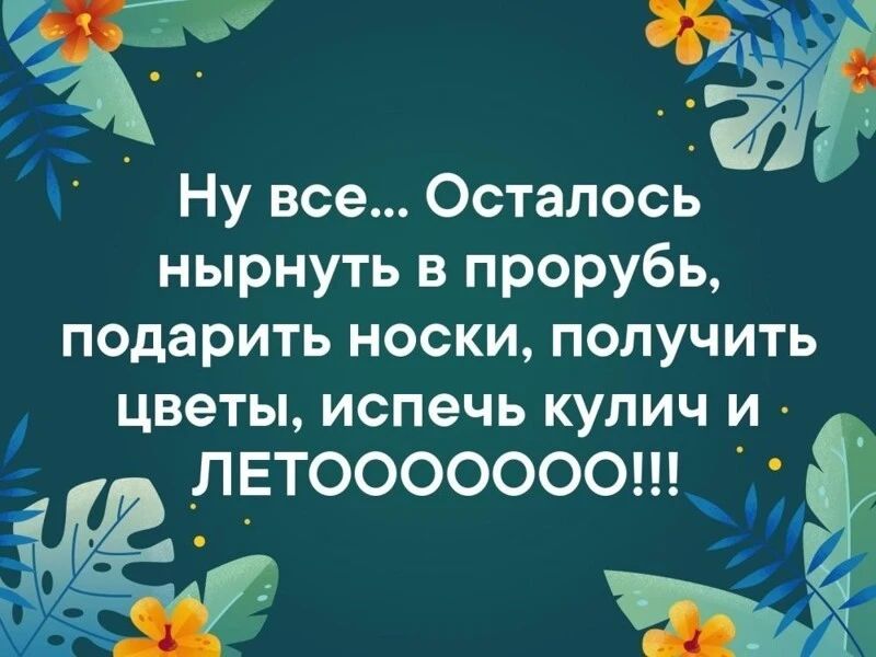 С Ну все Осталось нырнуть в прорубь подарить носки получить цветы испечь кулич и ЛЕТООООООО ЁЁ Ц