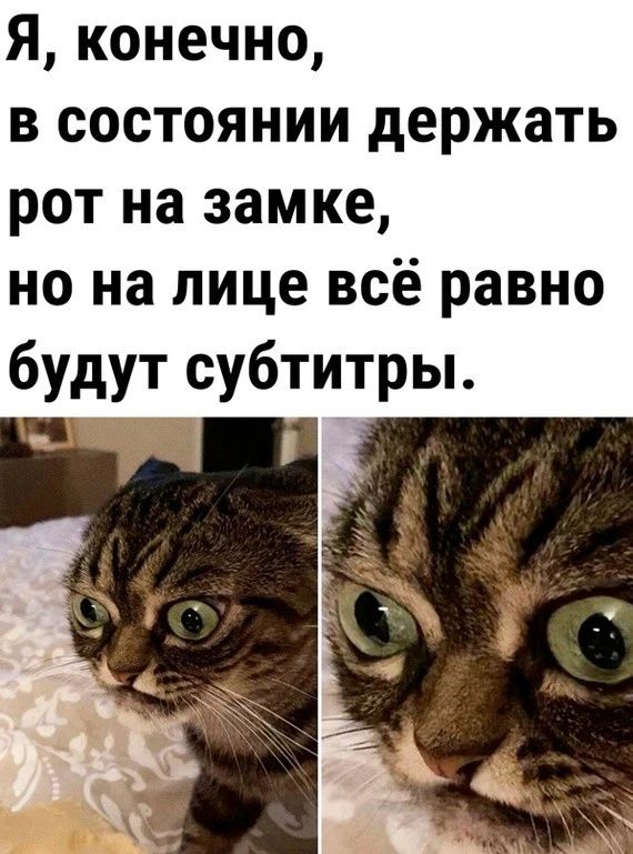 Я конечно в состоянии держать рот на замке но на лице всё равно будут субтитры