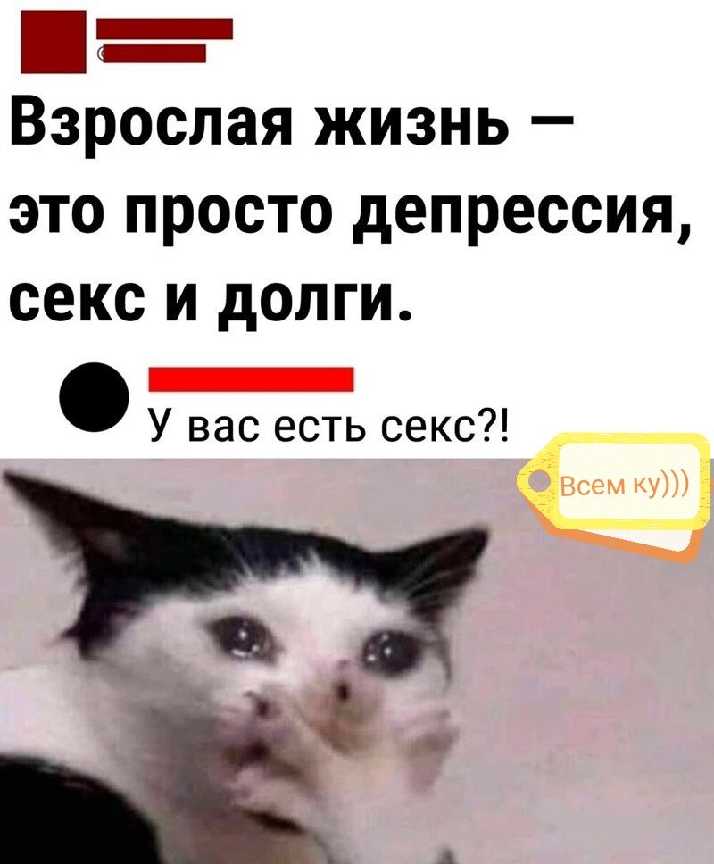 Взрослая жизнь это просто депрессия секс и долги _ У вас есть секс