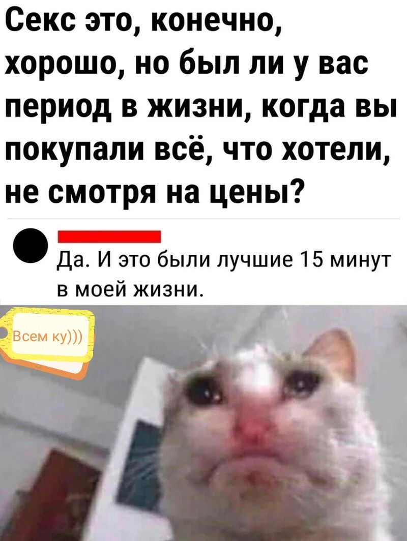 Секс это конечно ХОРОШО НО был ЛИ У вас период В ЖИЗНИ когда ВЫ покупали всё что хотели не смотря на ЦЕНЫ _ Да И это были лучшие 15 минут в моей жизни