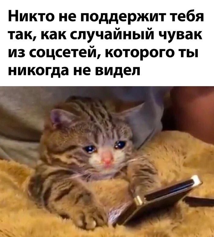 Никто не поддержит тебя так как случайный чувак из соцсетей которого ты никогда не видел