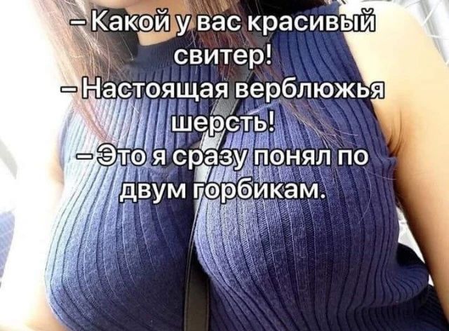 у Какаи удвас красивыи свитер