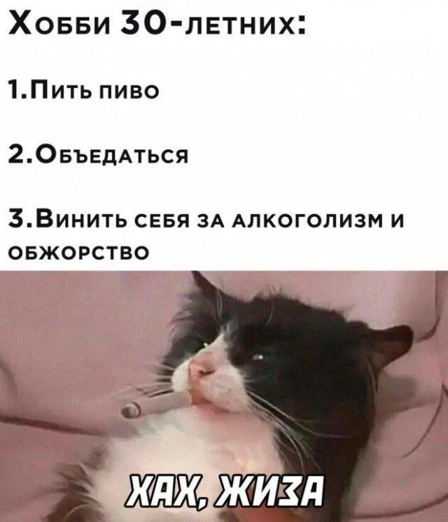 Ховви 30 летних 1Пить пиво 205ЪЕДАТЬСЯ ЗВинить севя ЗА АЛКОГОЛИЗМ и овжорство