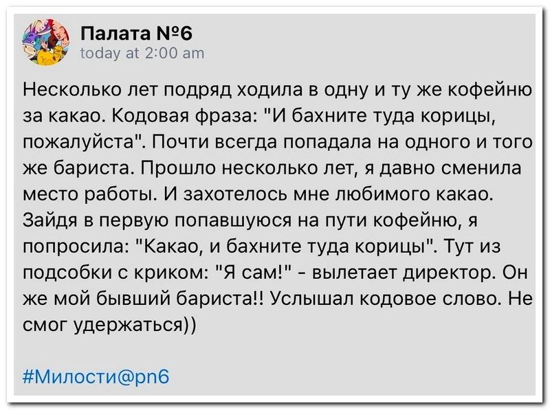 Палата 6 1 Несколько лет подряд ходила в одну и ту же кофейню за какао кодовая Фраза и бахните туда корицы пожалуйста Почти всегда попадала на одного и того же бариста Прошло несколькц лет я давно сменила место работы и захотелось мне пюбимогэ какао Зайдя в первую попавшуюся на пути кофейню я попросила Какао и бахните туда корицы Тут из подсобки с криком я сам вылетает директор Он же мой бывший ба