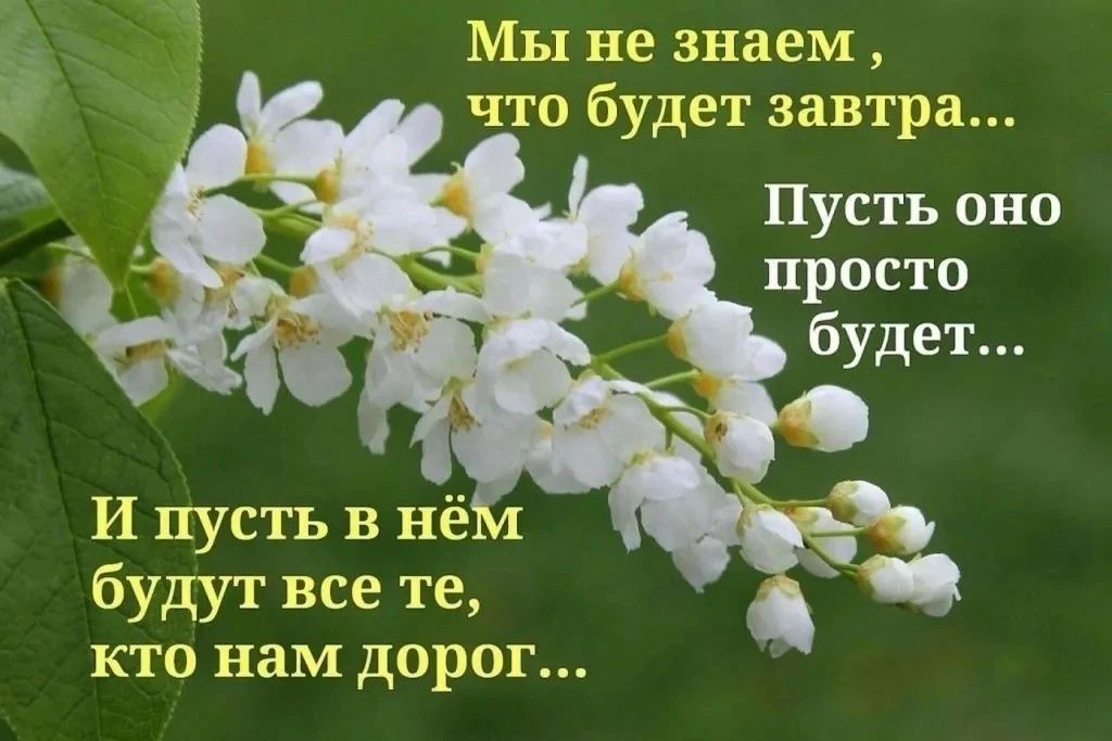 Мы не знаем что будет завтра Пусть оно просто будет И пусть в нё будут все те кто нам дорог