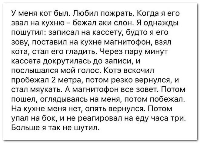 У меня кот был Любил пожрать Когда я его звал на кухню бежал аки слон Я однажды пошутил записал на кассету будто я его зову поставил на кухне магнитофон взял кота стал его гладить Через пару минут кассета докрутилась до записи и послышался мой голос Котз вскочил пробежал 2 метра патом резко вернулся и стал мяукать А магнитофон все зовет Потом пошел оглядываясь на меня потом побежал На кухне меня н