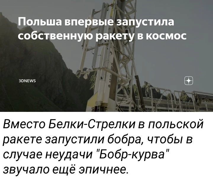 Польша впервые запустила собственную ракету в космос Вместо Белки Стрелки в польской ракете запустили бобра чтобы в случае неудачи Бобр курва звучало ещё эпичнее