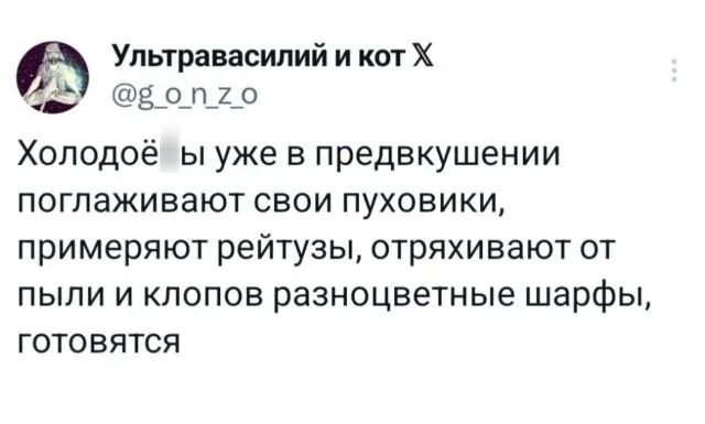 Ё Ультравасилий и кот Х е Б опго Холодоё ы уже в предвкушении поглаживают свои пуховики примеряют рейтузы отряхивают от пыли и клопов разноцветные шарфы готовятся