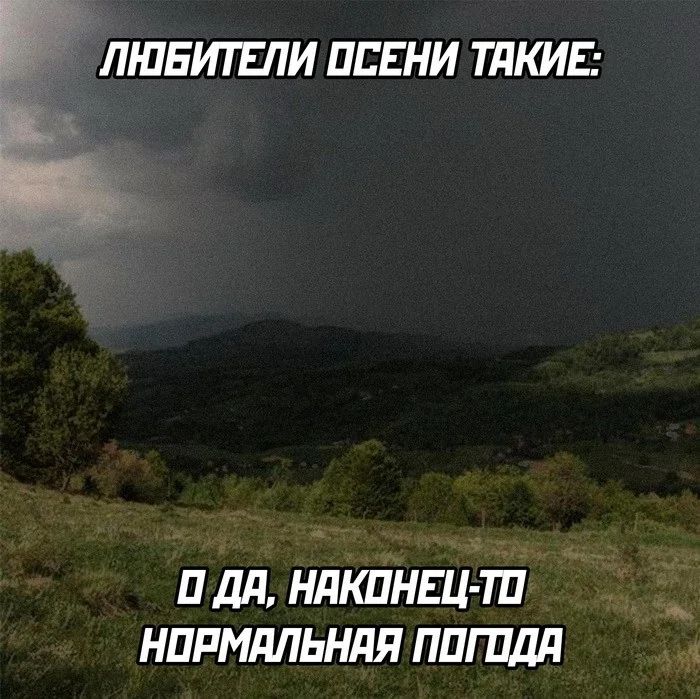 3 ЛЮБИТЕЛИ ОСЕНИ ТАКИЕ 0 ДА НАКОНЕЦ ТО НОРМАЛЬНАЯ ПОГОДАЯ