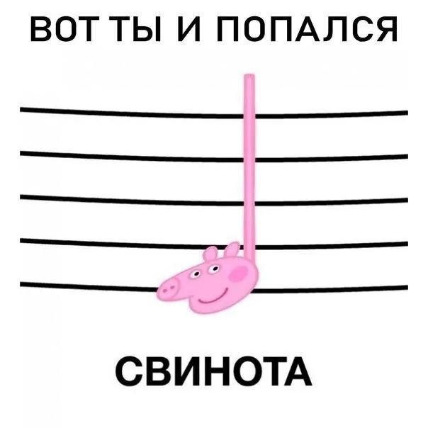 ВОТ ТЫ И ПОПАЛСЯ СВИНОТА