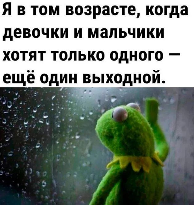 Я в том возрасте когда девочки и мальчики хотят только одного ещё один выходной