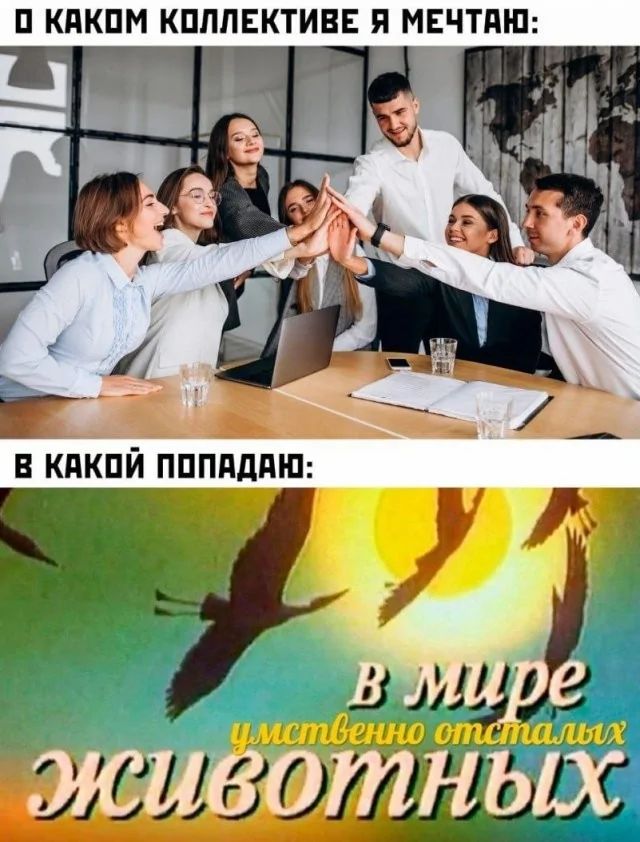 0 КАКОМ КОЛЛЕКТИВЕ Я МЕЧТАЮ