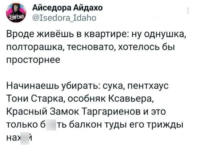 Айседора Айдахо 15едога 14апо Вроде живёшь в квартире ну однушка полторашка тесновато хотелось бы просторнее Начинаешь убирать сука пентхаус Тони Старка особняк Ксавьера Красный Замок Таргариенов и это только 6 ть балкон туды его трижды нах я