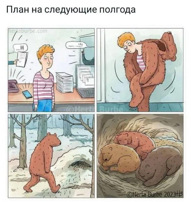 План на следующие полгода