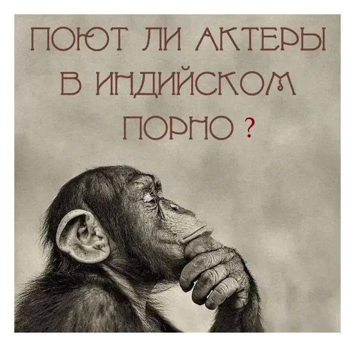 ПОЮТ ЛИ АКТЕРЫ В ИЧДИЙСКОЛ ПОРНО
