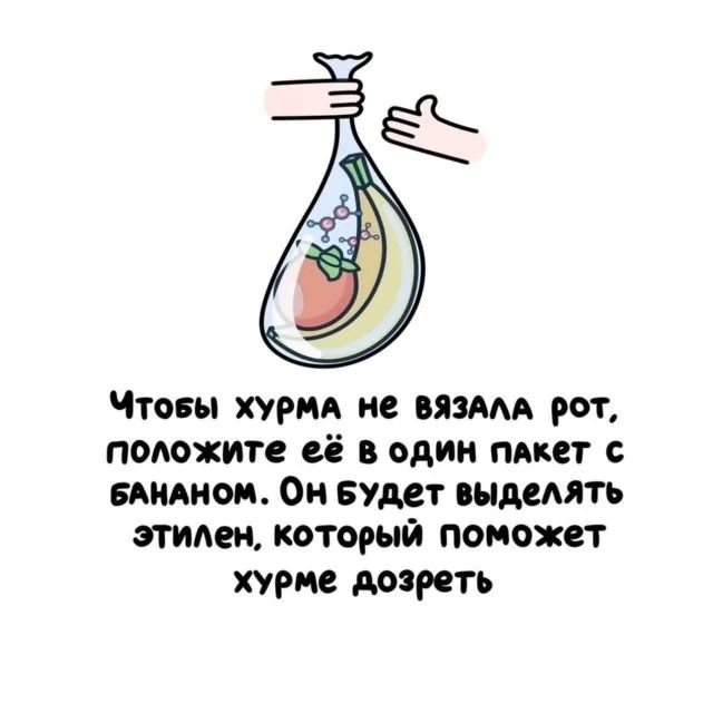 Мтовы ХУРМА нё ВЯЗАЛА рот положите её в один плкет с БАНАНОМ Он БУдет выделять этилен который поможет хурме дозреть