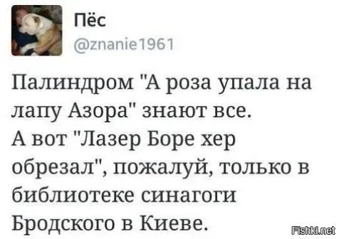 У Пёс гпатме1961 Палиндром А роза упала на лапу Азора знают все А вот Лазер Боре хер обрезал пожалуй только в библиотеке синагоги Бродского в Киеве ЕСНЕ