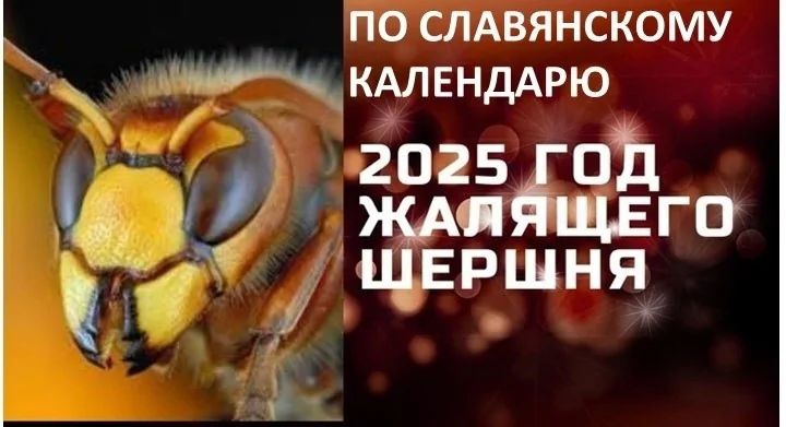 ПО СЛАВЯНСКОМУ м ОЙЕ КАЛЕНДАРЮ 2025 ГОД 3 и ЖАЯЯЩЕГО щвршня