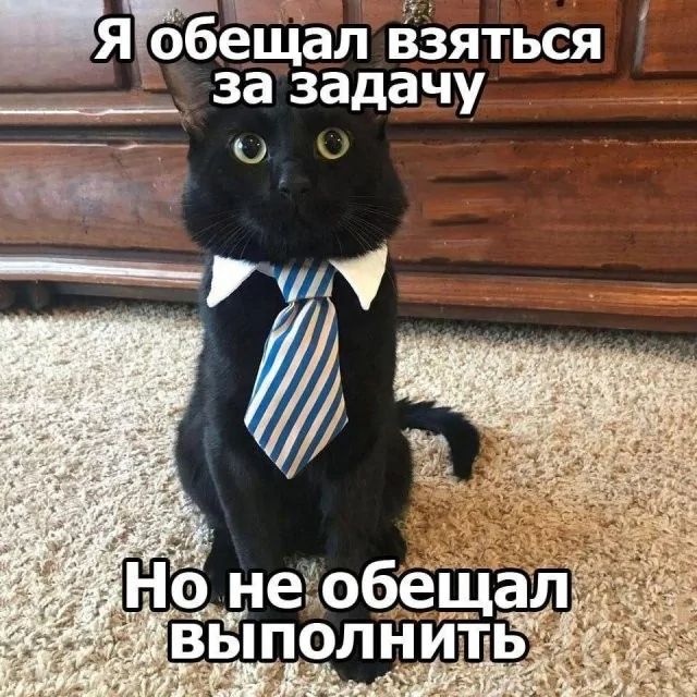 ЯЕбещал взяться заззадачу