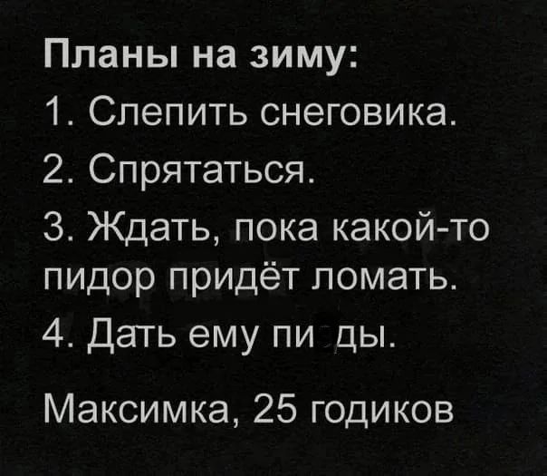 Планы на зиму 1 Слепить снеговика 2 Спрятаться 3 Ждать пока какой то пидор придёт ломать 4 Дать ему пи ды Максимка 25 годиков