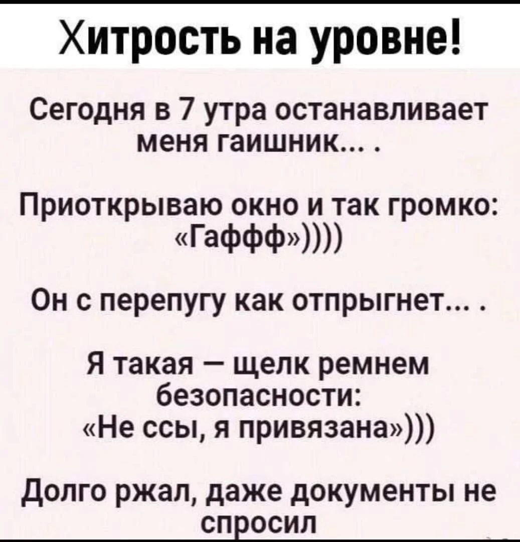 Хитрость на уровне Сегодня в 7 утра останавливает меня гаишник Приоткрываю окно и так громко Гаффф Он с перепугу как отпрыгнет Я такая щелк ремнем безопасности Не ссы я привязана Долго ржал даже документы не спросил