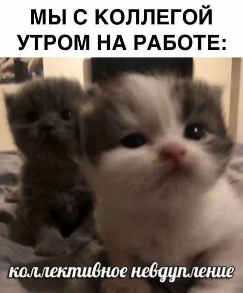 МЫ С КОЛЛЕГОЙ УТРОМ НА РАБОТЕ