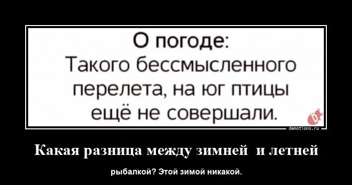 О погоде Такого бессмысленного перелета на юг птицы ещё не совершели Какая разница между зимней_и летней рыбалкой Этой зимой никакой