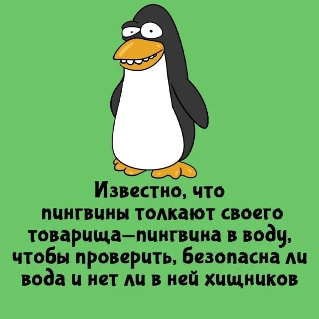 Известно что пингвины толкают своего товарища пингвина в воду чтобы проверить безопасна ли вода и нет лу в ней хищников