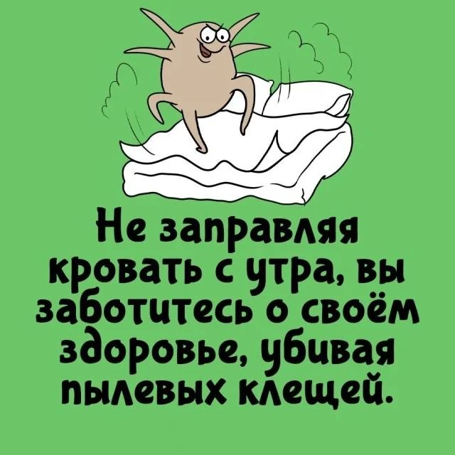 Не заправляя кровать с утра вы заботитесь о своём здоровье убивая пылевых клещей