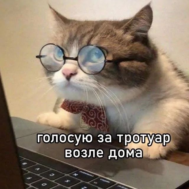 голосую за тротуар возле дома