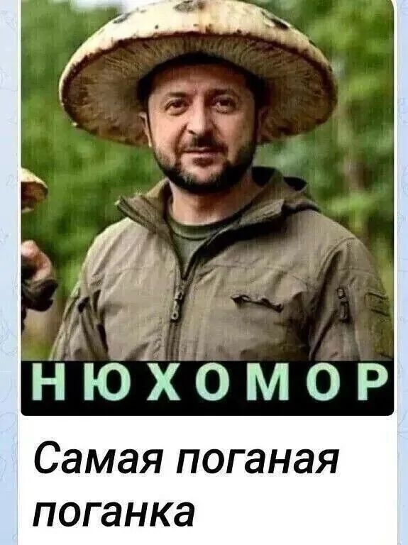 НЮХОМОР
Самая поганая поганка