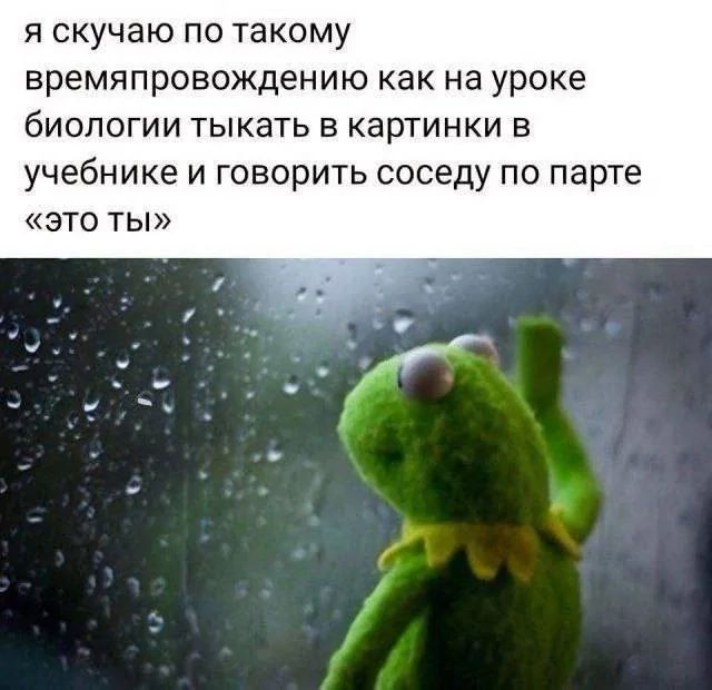 я скучаю по такому времяпровождению как на уроке биологии тыкать в картинки в учебнике и говорить соседу по парте «это ты»