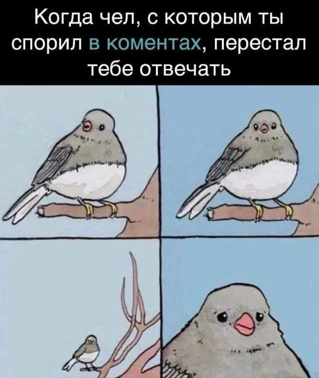 Когда чел, с которым ты спорил в комментариях, перестал тебе отвечать