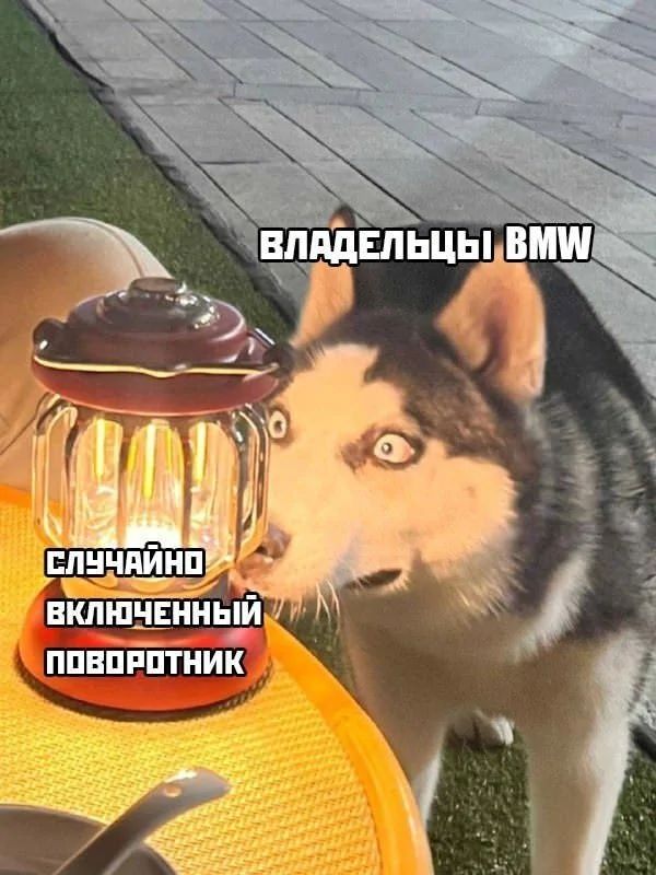 владельцы BMW
случайно включенный поворотник