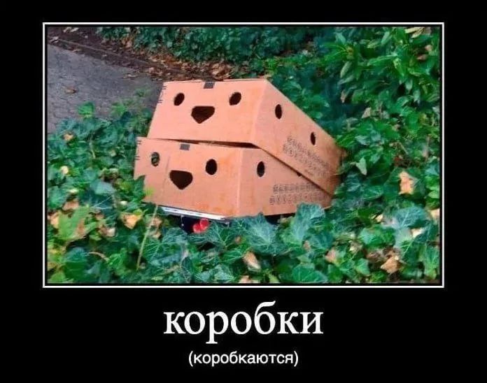 коробки
(коробкаются)