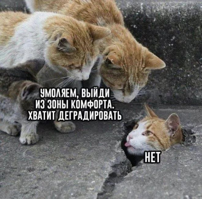 УМОЛЯЕМ, ВЫЙДИ ИЗ ЗОНЫ КОМФОРТА. ХВАТИТ ДЕГРАДИРОВАТЬ. НЕТ