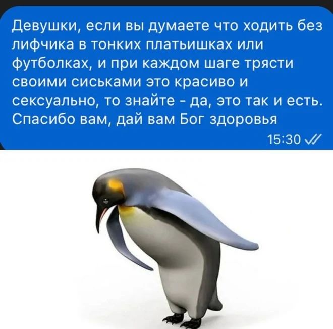 Девушки, если вы думаете что ходить без лифчика в тонких платьишках или футболках, и при каждом шаге трясти своими сиськами это красиво и сексуально, то знайте - да, это так и есть. Спасибо вам, дай вам Бог здоровья