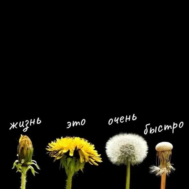 жизнь это очень быстро
