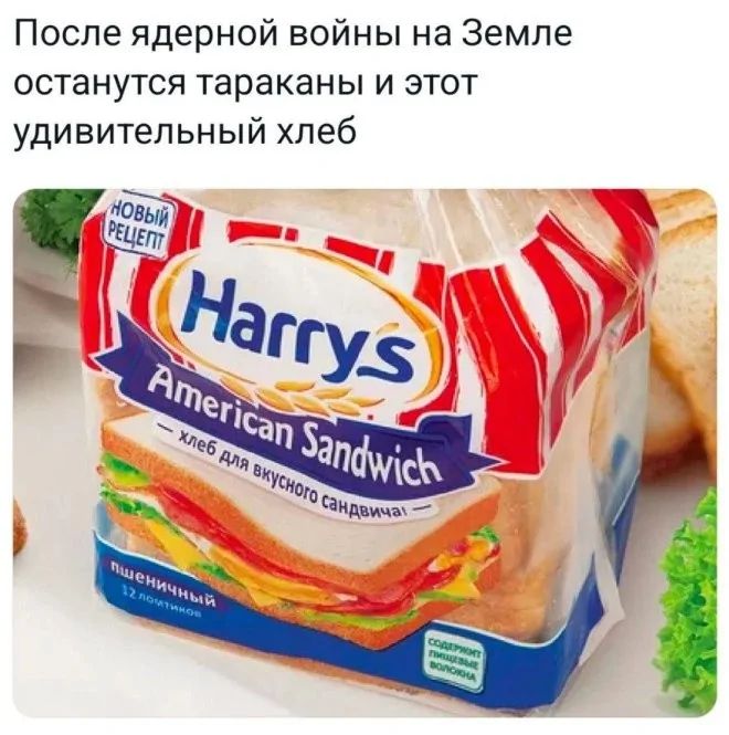 После ядерной войны на Земле останутся тараканы и этот удивительный хлеб