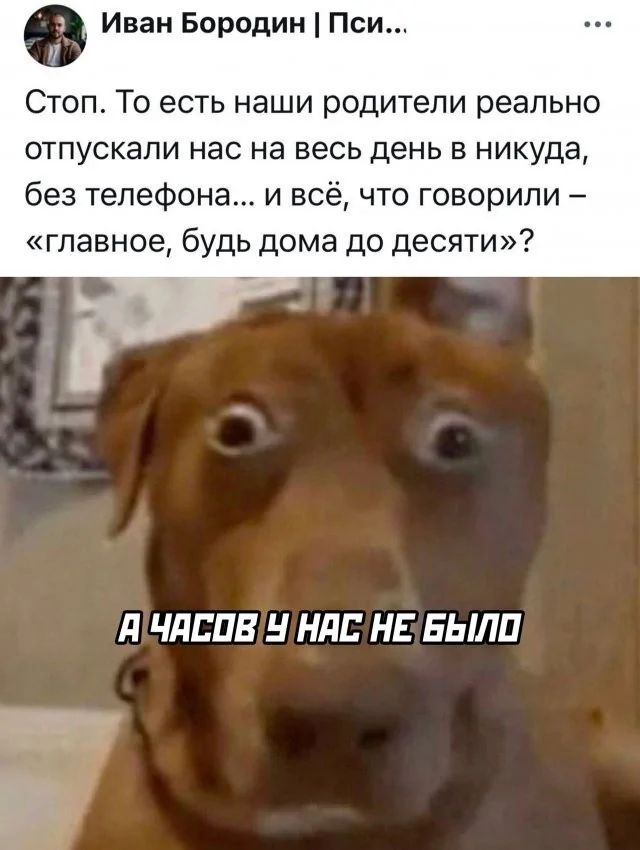Стоп. То есть наши родители реально отпускали нас на весь день в никуда, без телефона... и всё, что говорили – «главное, будь дома до десяти»? А часов у нас не было.