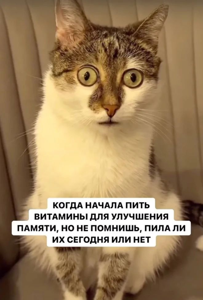 КОГДА НАЧАЛА ПИТЬ ВИТАМИНЫ ДЛЯ УЛУЧШЕНИЯ ПАМЯТИ, НО НЕ ПОМНИШЬ, ПИЛА ЛИ ИХ СЕГОДНЯ ИЛИ НЕТ