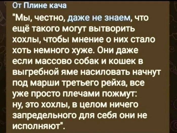 Мы, честно, даже не знаем, что ещё такого могут вытворить хохлы, чтобы мнение о них стало хоть немного хуже. Они даже если массово собак и кошек в выгребной яме насиловать начнут под марши третьего рейха, все уже просто плечами пожмут: ну, это хохлы, в целом ничего запредельного для себя они не исполняют.