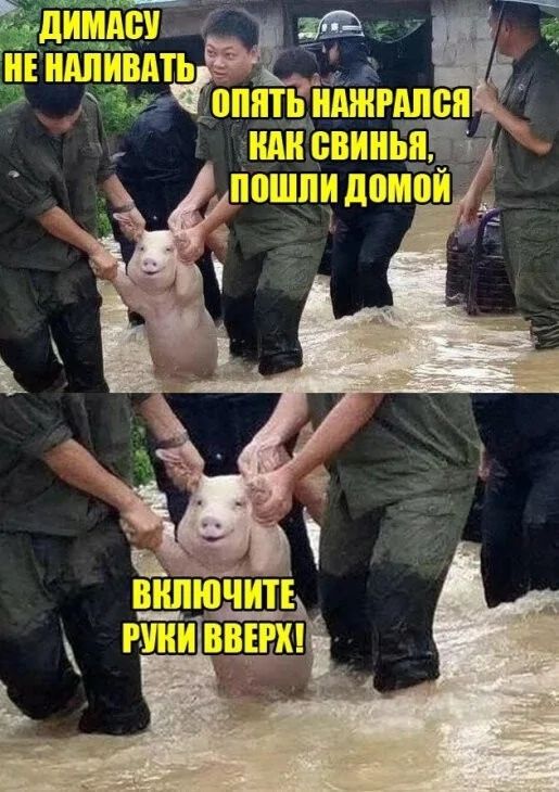 Димасу не наливать опять на*рались как свинья, пошли домой ВКЛЮЧИТЕ РУКИ ВВЕРХ!