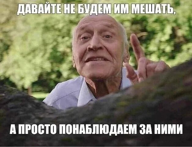 ДАВАЙТЕ НЕ БУДЕМ ИМ МЕШАТЬ, А ПРОСТО ПОНАБЛЮДАЕМ ЗА НИМИ